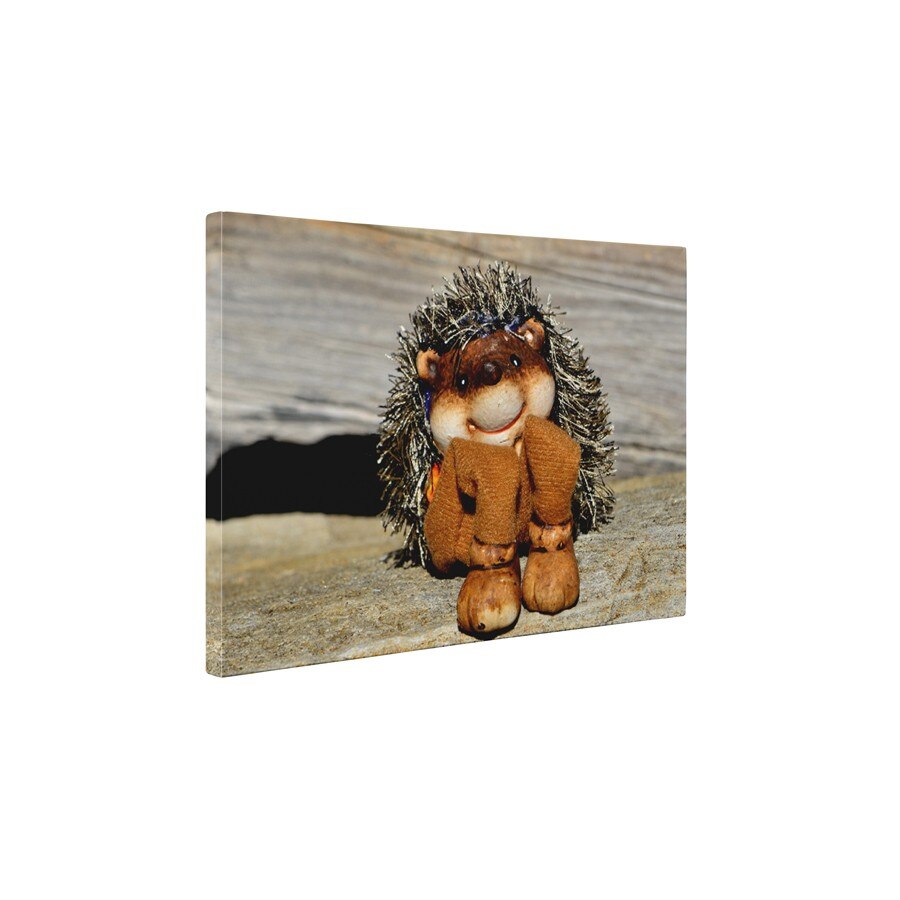 Arici de jucarie - Tablou Canvas - 60x80 cm