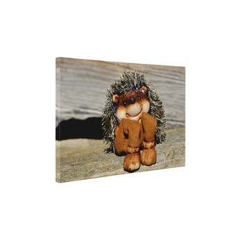 Arici de jucarie - Tablou Canvas - 60x80 cm Arici de jucarie - Tablou Canvas - 60x80 cm