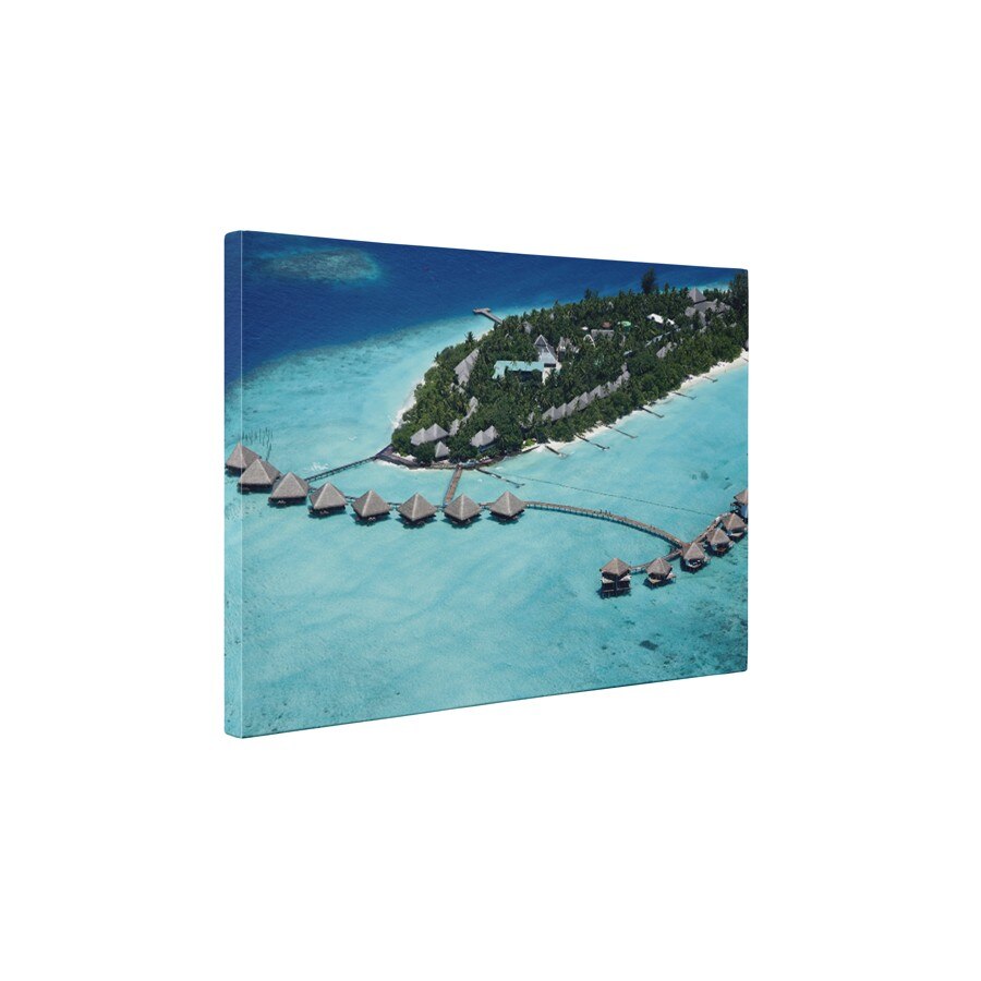 Excursie de vis - Tablou Canvas - 60x75 cm