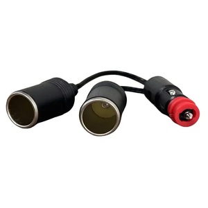 Accesorii electronice auto