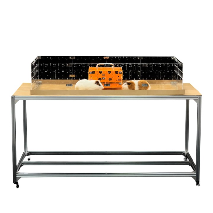 GuineaLoft Cusca Acrilica pentru Porcusori de Guineea si Iepuri 122x61 cm