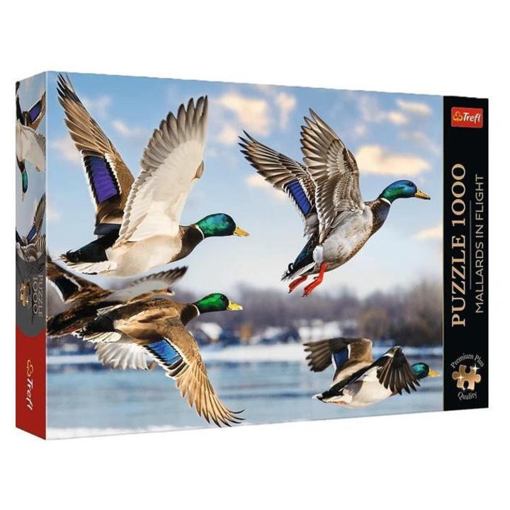 Trefl 1000 db-os Premium Plus puzzle - Vadkacsák (99278)