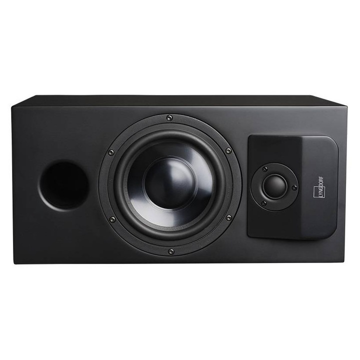 Boxe Lyngdorf CS-1 Instalare In Mobilier 100W 88dB 4Ohmi Negru