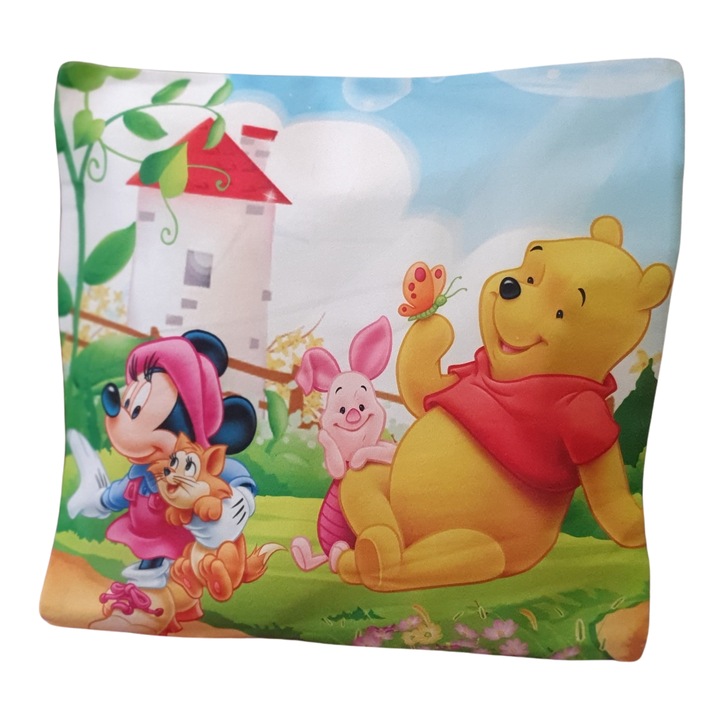 Perna copii, 45x45 cm, cu personaje din desene animate, material moale, confortabila, Minnie si Winnie, ideala cadou copii