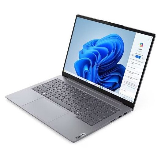 Laptop Lenovo ThinkBook 14 G7, 16GB RAM, 1TB SSD, grafica Intel Arc, 14", gri arctic
