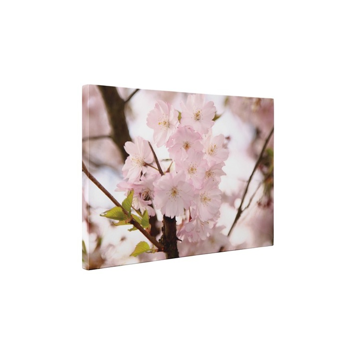 Piersic inflorit - Tablou Canvas - 85x110 cm