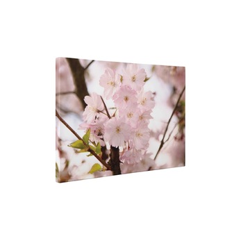 Piersic inflorit - Tablou Canvas - 35x45 cm Piersic inflorit - Tablou Canvas - 35x45 cm