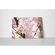 Piersic inflorit - Tablou Canvas - 85x110 cm