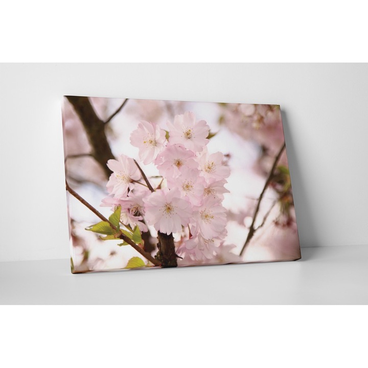 Piersic inflorit - Tablou Canvas - 85x110 cm