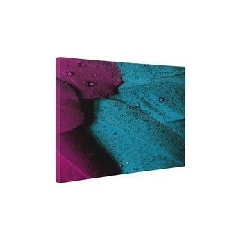 Pene colorate - Tablou Canvas - 65x85 cm Pene colorate - Tablou Canvas - 65x85 cm