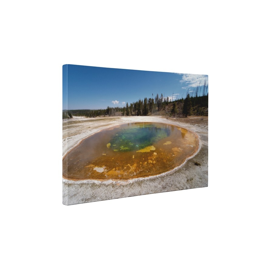 Gheizer - Tablou Canvas - 60x75 cm