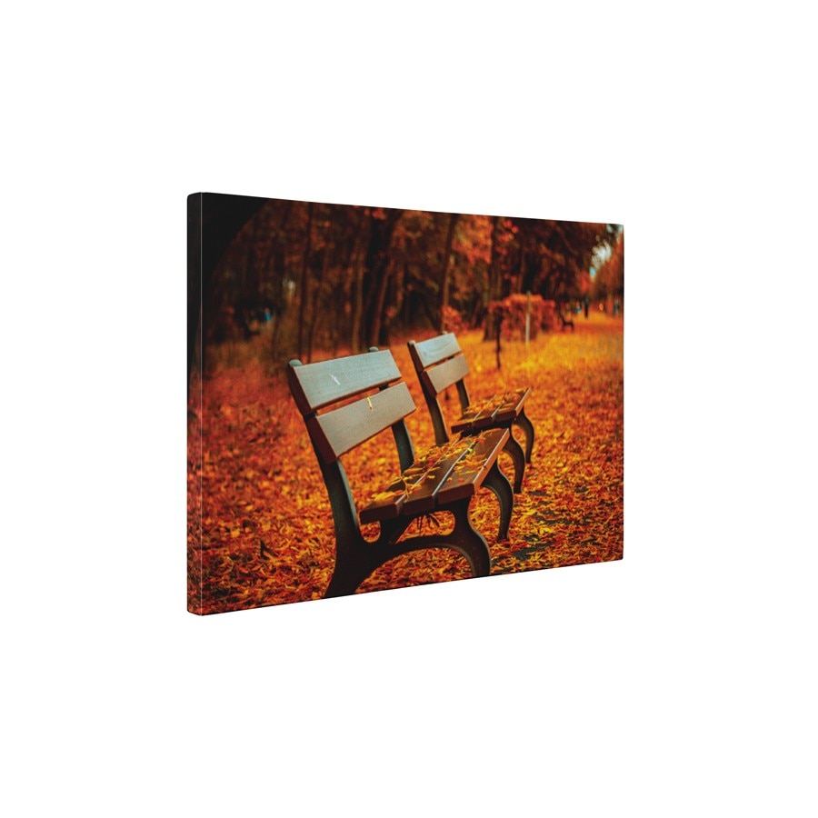 Frunze colorate - Tablou Canvas - 60x75 cm