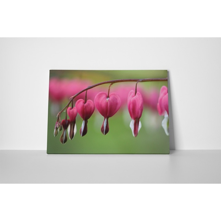 Lacrima inimioarei - Tablou Canvas - 80x105 cm