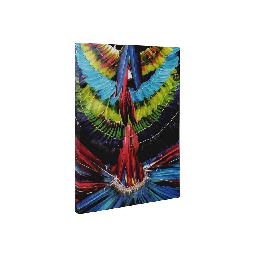 Pene decorative - Tablou Canvas - 15x20 cm