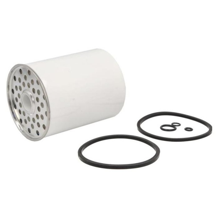 Filtru combustibil Massey Ferguson Hengst D8NN9176AA