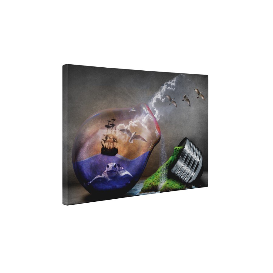 Lumea abstracta - Tablou Canvas - 45x60 cm