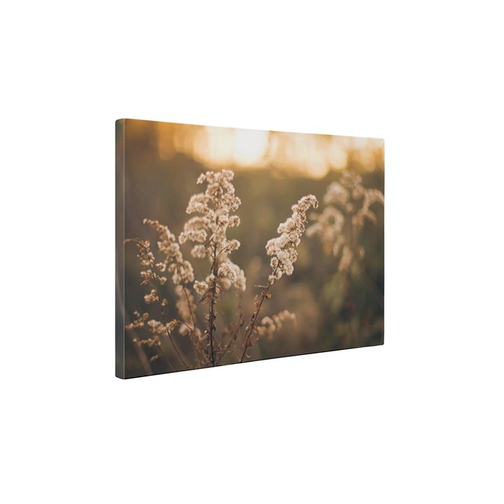 Apus de soare pe lunca - Tablou Canvas - 60x80 cm