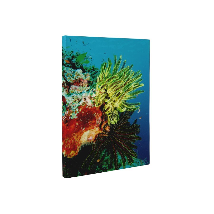 Viata acvatica - Tablou Canvas - 60x75 cm