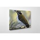 Pasare - Tablou Canvas - 45x60 cm
