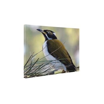 Pasare - Tablou Canvas - 90x120 cm Pasare - Tablou Canvas - 90x120 cm