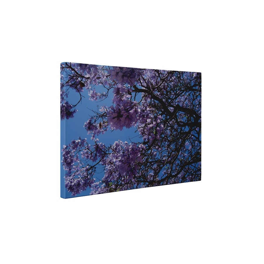 Floricele mov - Tablou Canvas - 35x45 cm