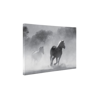Armasari - Tablou Canvas - 60x80 cm Armasari - Tablou Canvas - 60x80 cm