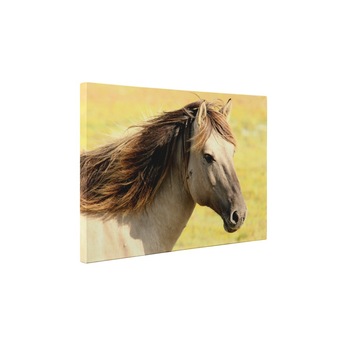 Armasar - Tablou Canvas - 60x80 cm Armasar - Tablou Canvas - 60x80 cm