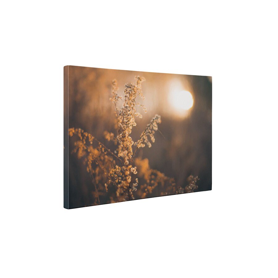 Asternut de toamna - Tablou Canvas - 75x100 cm