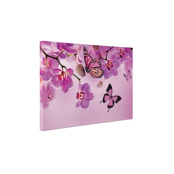 Fluturi roz - Tablou Canvas - 35x45 cm Fluturi roz - Tablou Canvas - 35x45 cm