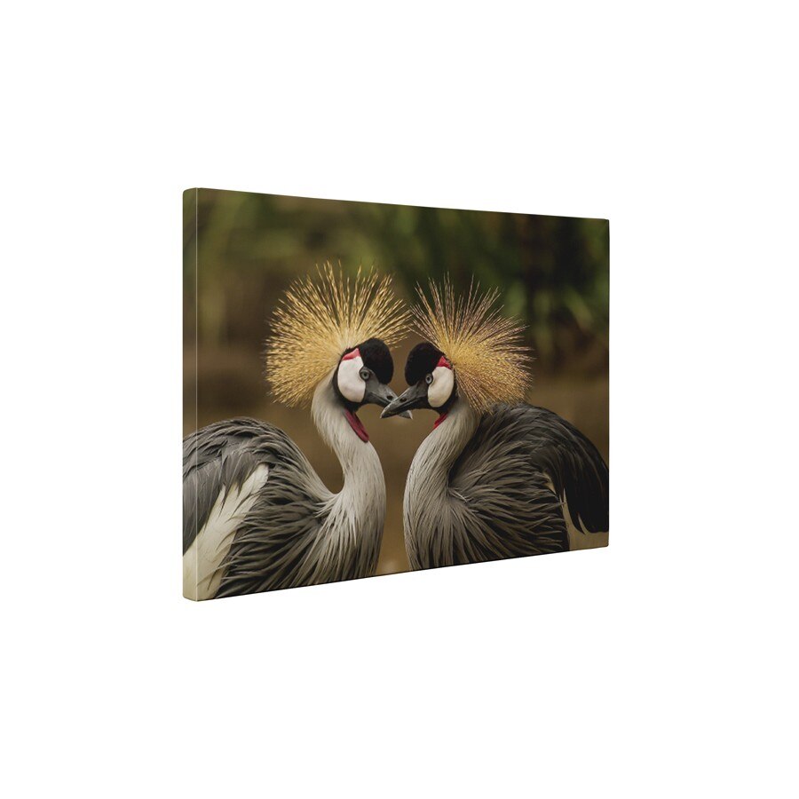 Cocorul incoronat - Tablou Canvas - 45x60 cm