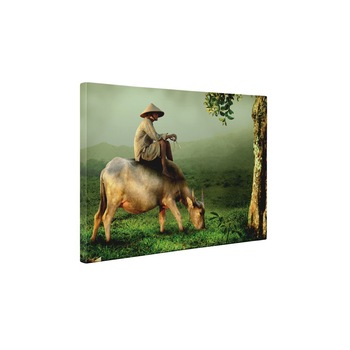 Pe pasune - Tablou Canvas - 50x65 cm Pe pasune - Tablou Canvas - 50x65 cm