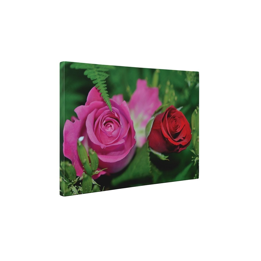 Doua trandafiri - Tablou Canvas - 60x80 cm
