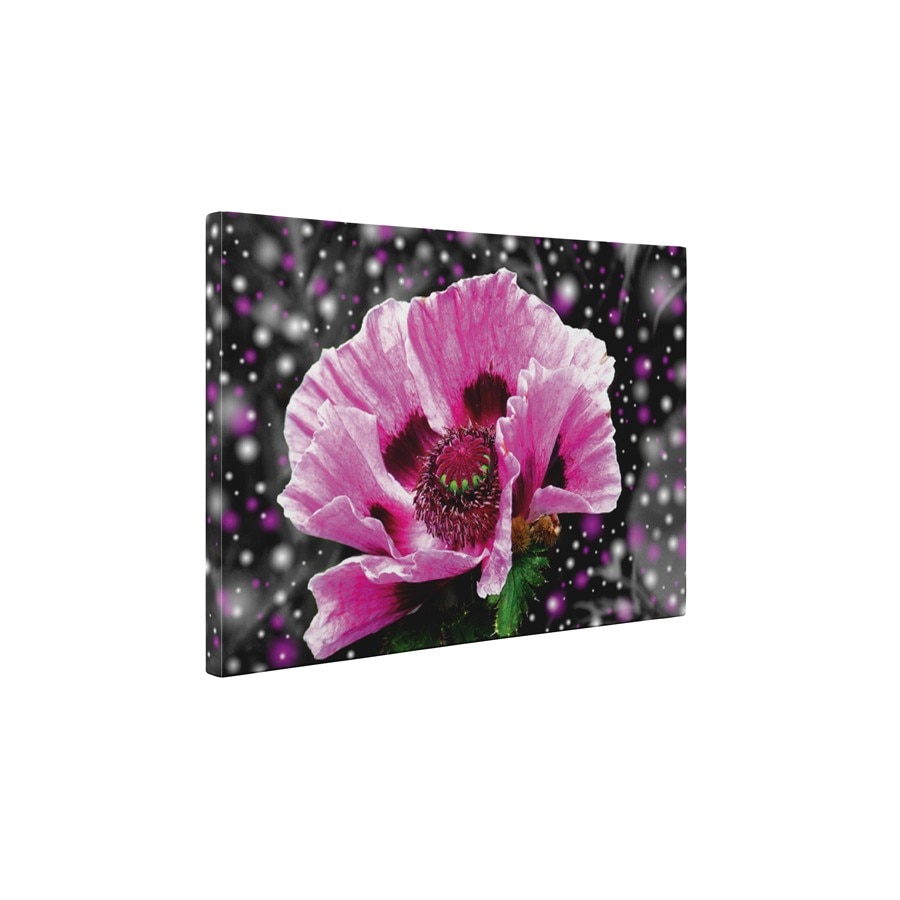 Floare roz - Tablou Canvas - 60x80 cm