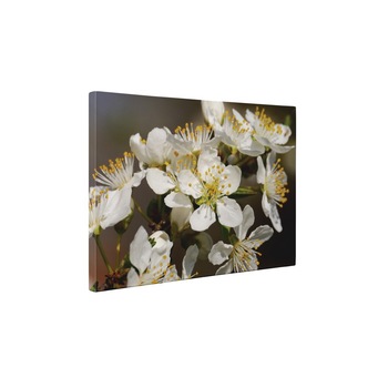 Primavara - Tablou Canvas - 90x120 cm Primavara - Tablou Canvas - 90x120 cm