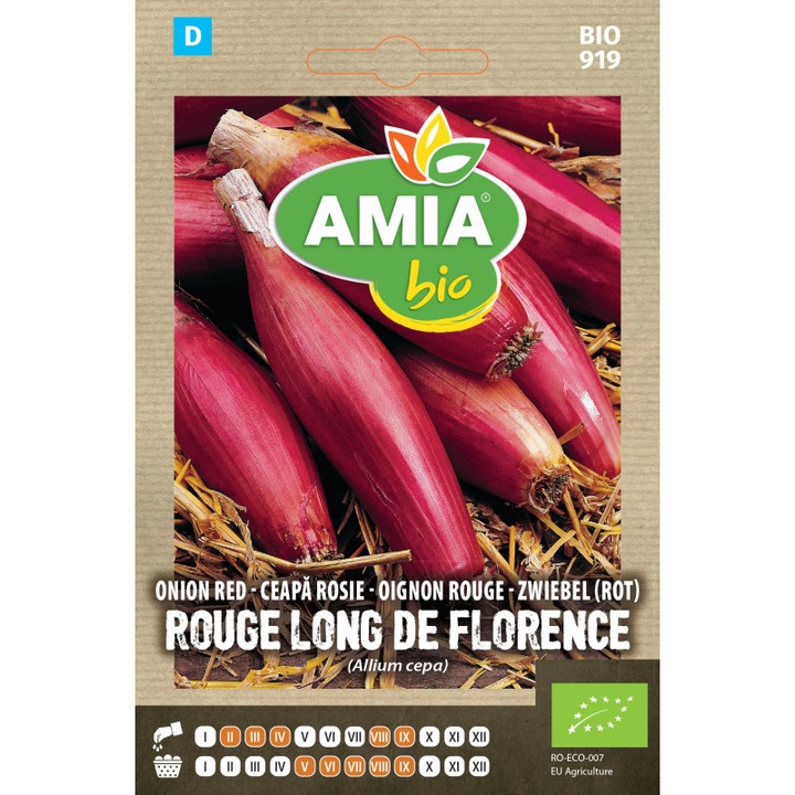 Seminte bio de ceapa rosie Rouge Long de Florence 1 gram