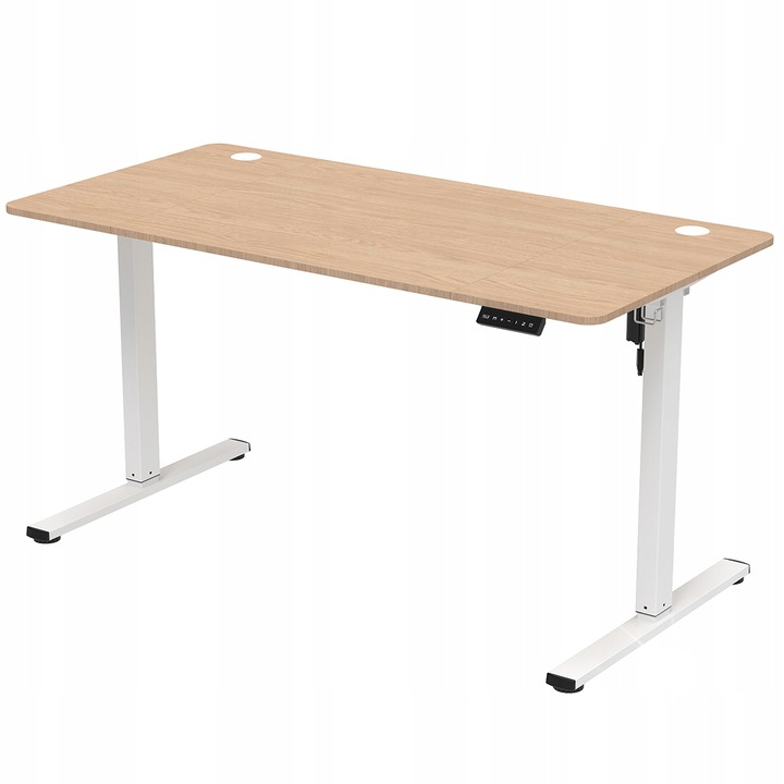 Birou electric reglabil Spacetronik 160x80cm, capacitate 80kg, pentru gaming