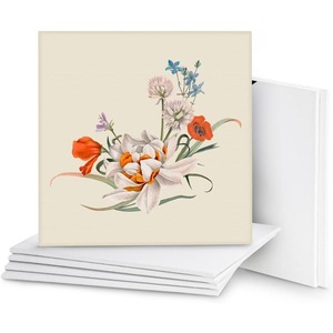 Acuarele, pensule si blocuri de desen