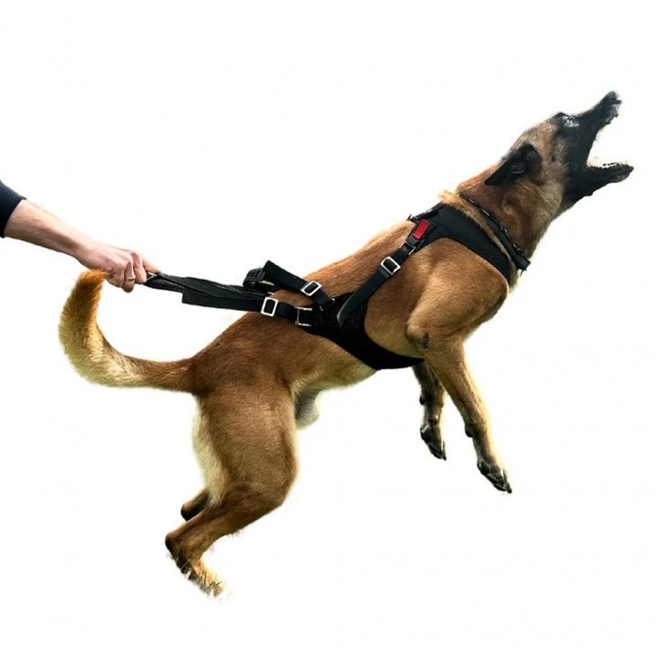 Ham IQ Dogsport Pro-Cobra, Marime M