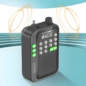 Radio cu ceas & portabile