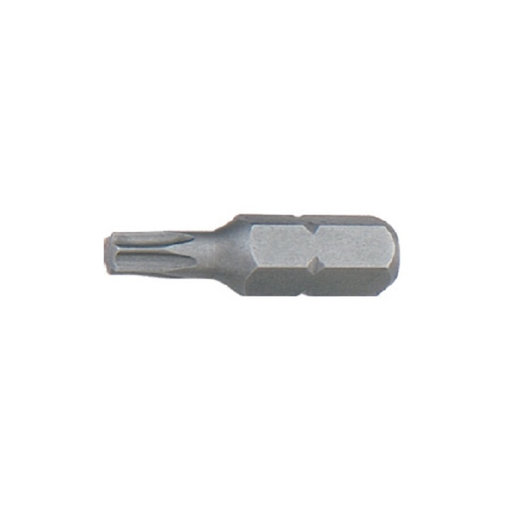 TORX profilú bit, TX 40, L 25, D 1/4'', AMB - 1