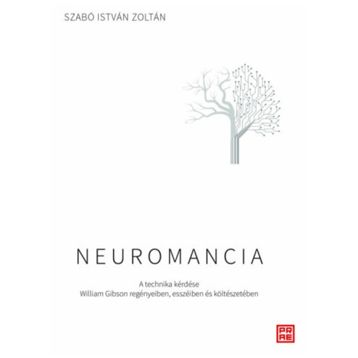 Szabó István Zoltán; Neuromancia