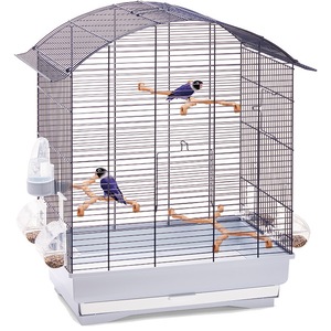 Custi, cotete, tarcuri si colivii