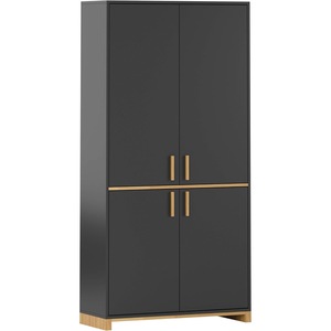 Sifoniere si dulapuri