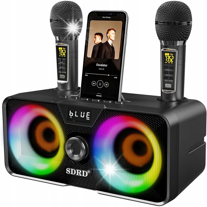 Set microfoane karaoke, 2 microfoane, difuzor