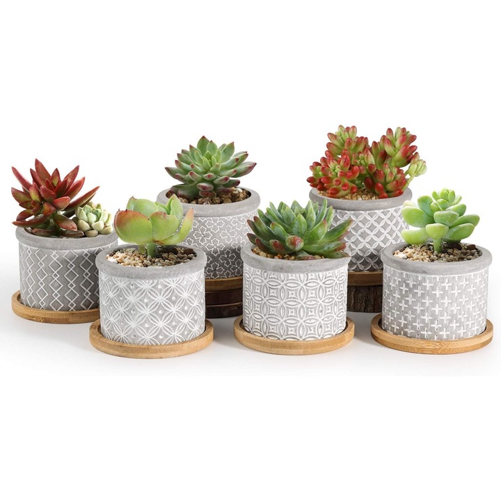 Set 6 ghivece din ciment cu suport, T4U, gri, 6,5x6,5x5,5cm