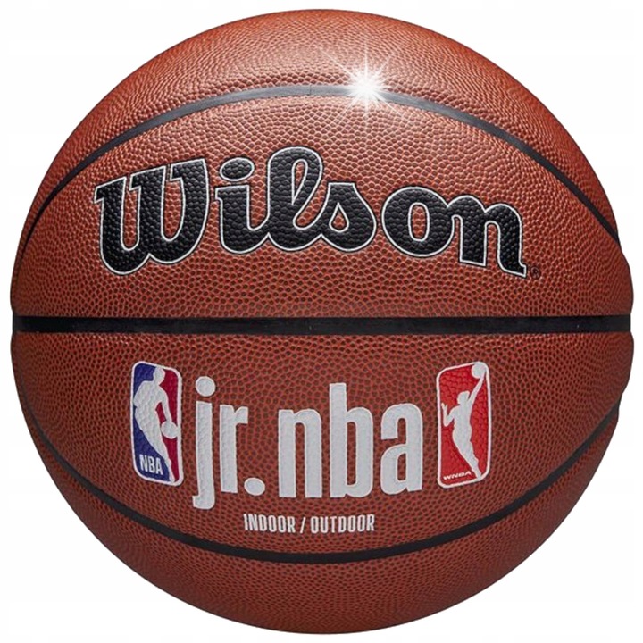 Minge de baschet Wilson Jr NBA Fam, dimensiune 6, unisex, piele compozita, interior/exterior