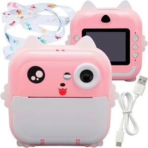 Aparate foto instant