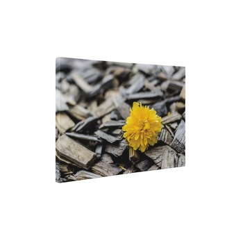 Floricica - Tablou Canvas - 60x80 cm Floricica - Tablou Canvas - 60x80 cm