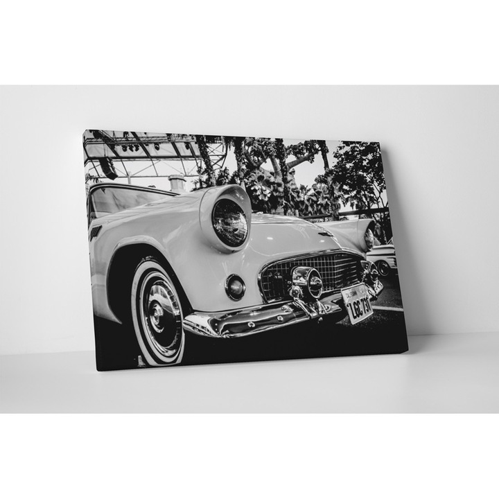 Oldtimer - Tablou Canvas - 20x25 cm