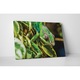 Chameleon - Tablou Canvas - 60x75 cm